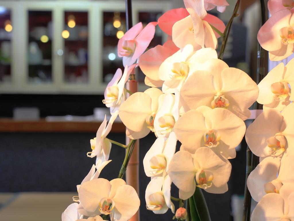 Hotel Grace Hakuba Zewnętrze zdjęcie